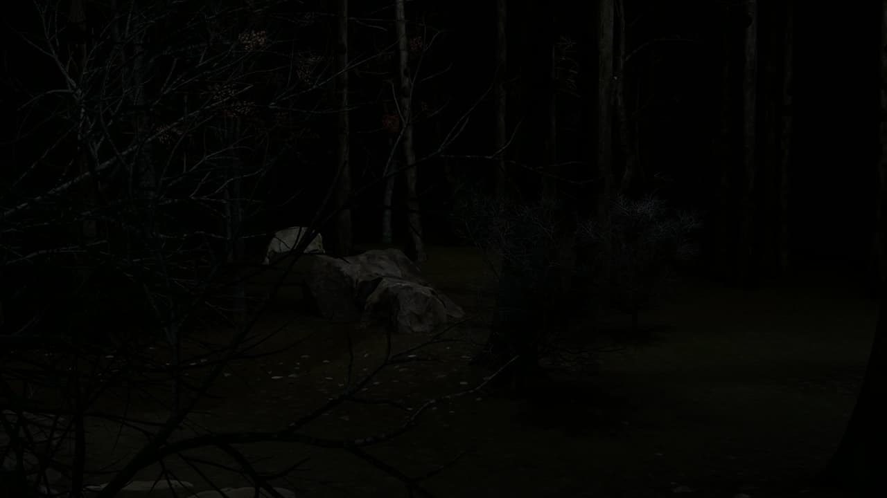 Blood Trail screenshot 6