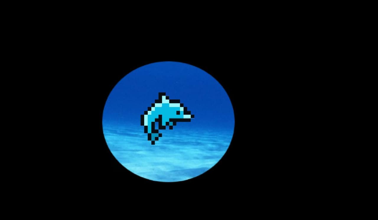 Golfinho x Orca