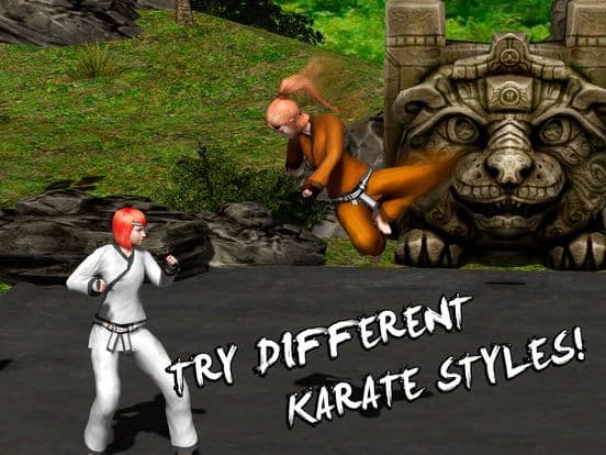 Karate Do Fighting Tiger 3D screenshot 3