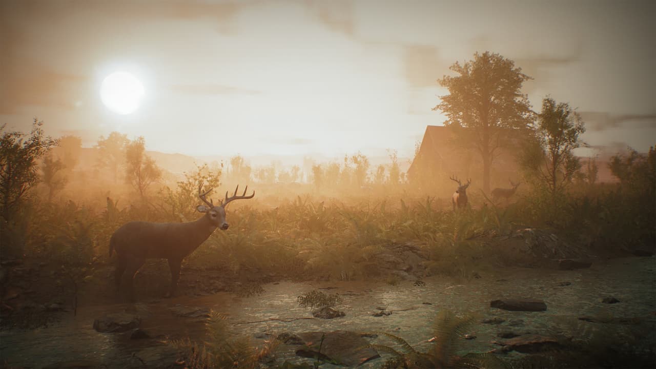 Morels: The Hunt screenshot 6