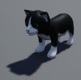 cat sim