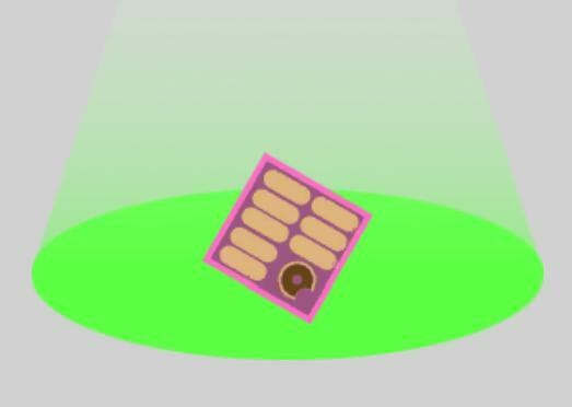 Donut Abductor