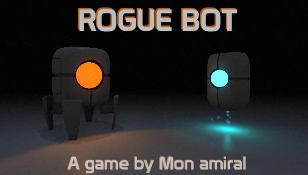 Roguebot (Mon amiral)