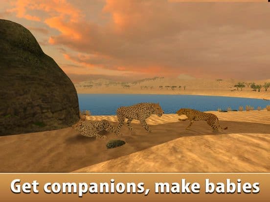 African Cheetah: Wild Animal Simulator 3D screenshot 3