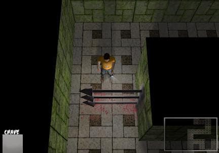 Labyrinth of Survival