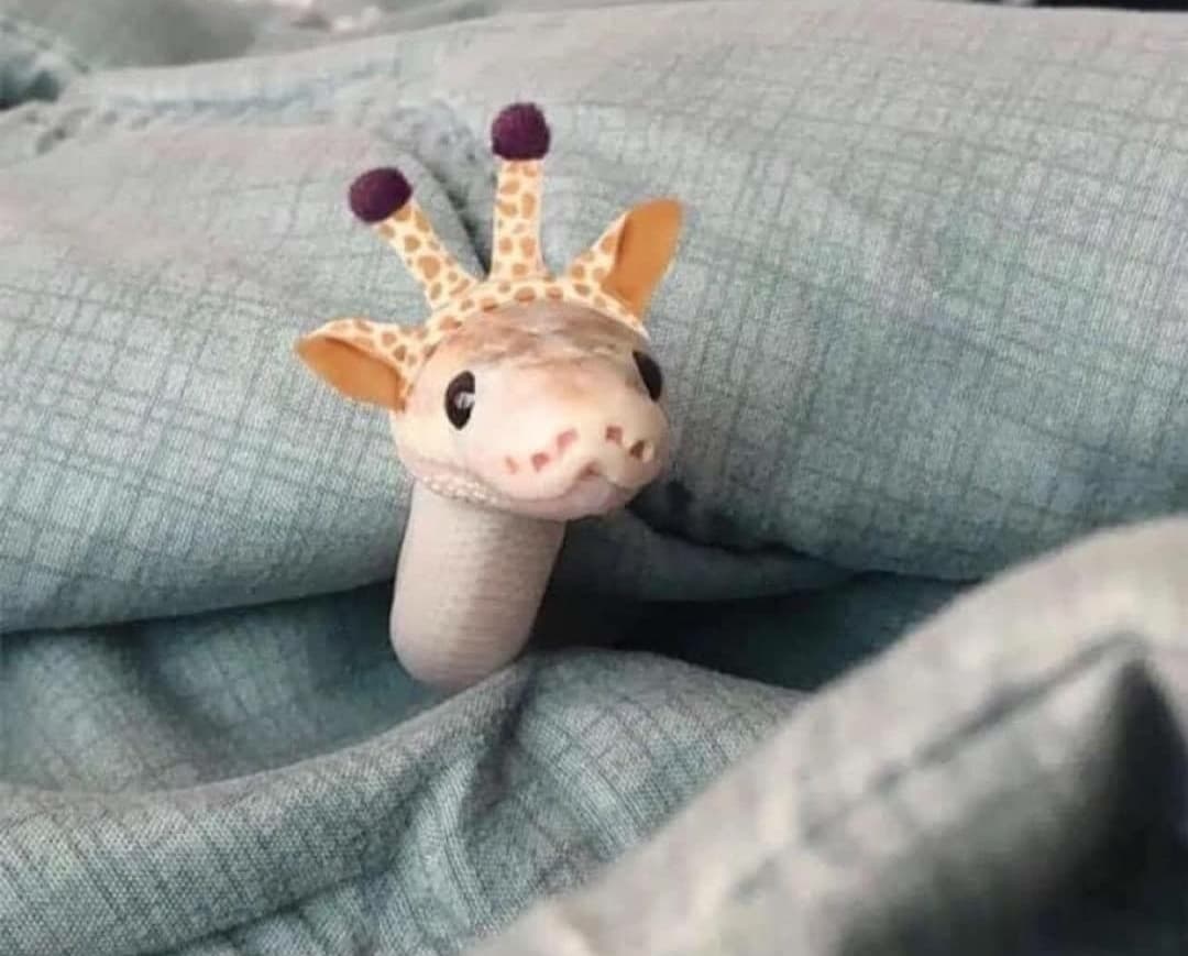 EKANS (itch)