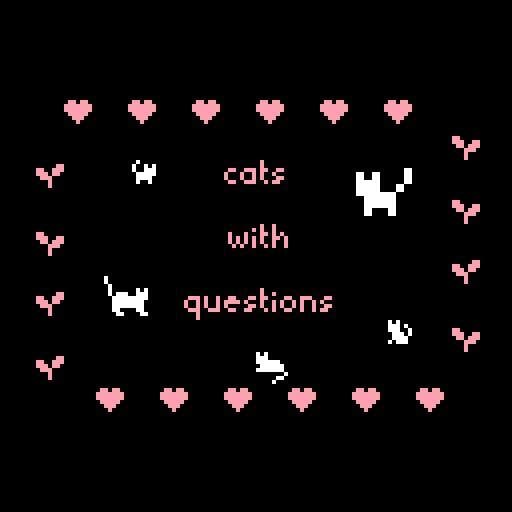 cats with questions