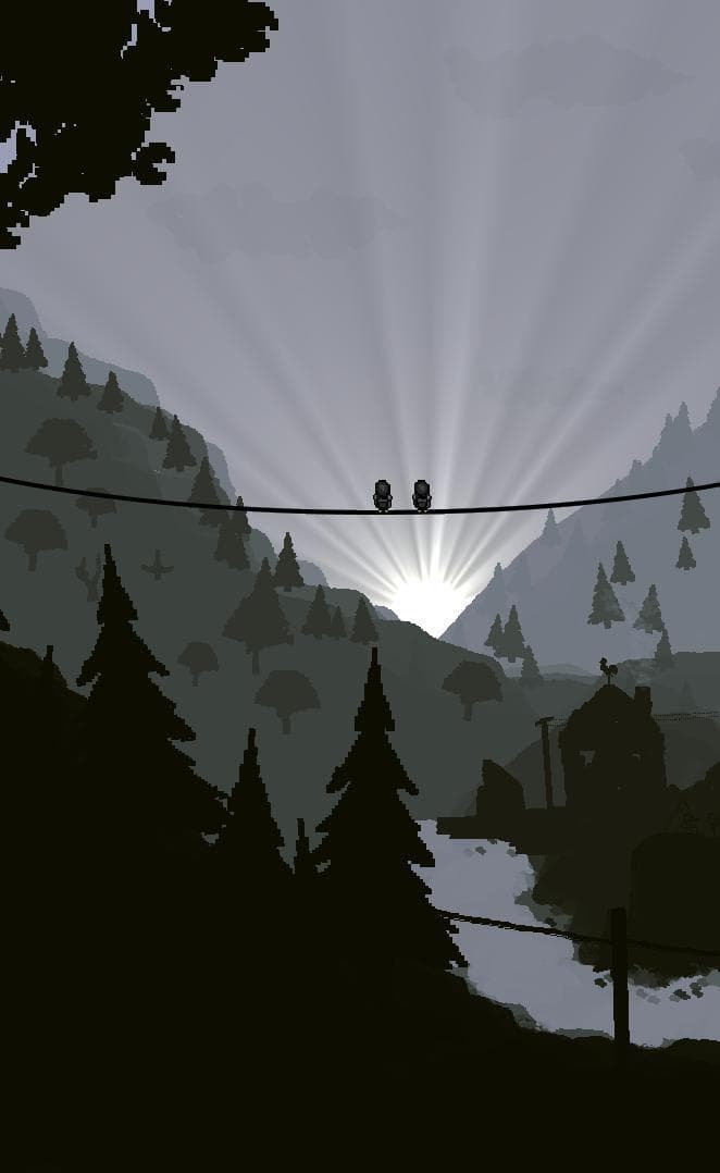 Birds of the Wire