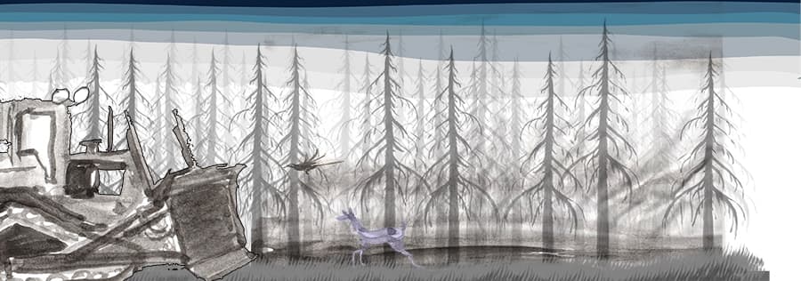 Escape From Animal Forest