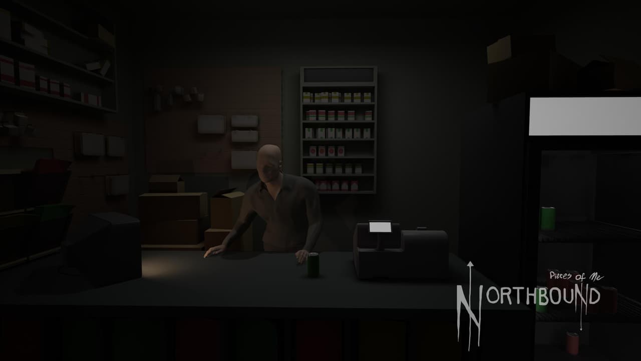 Pieces of Me: Northbound screenshot 4