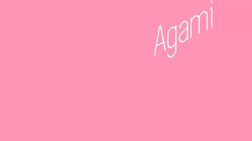 Agami - A Colorful Adventure