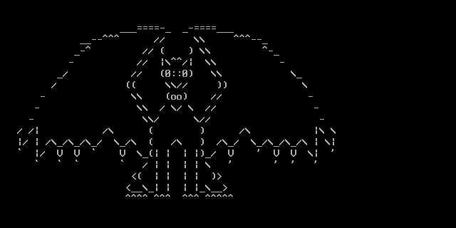 terminal_hacker (sputter.funk)