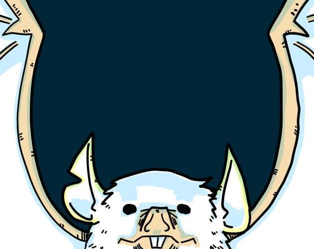 Batventure