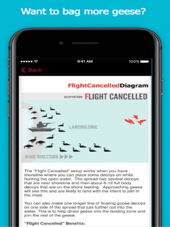Goose Hunting Diagrams - DecoyPro screenshot 2