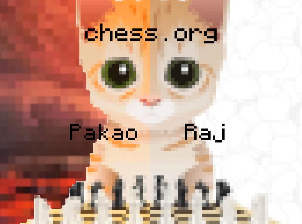 chess.org screenshot 4