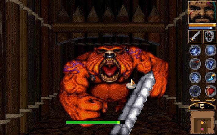Anvil of Dawn screenshot 6
