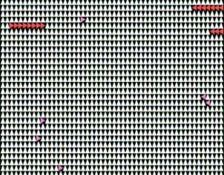 Dis Structure screenshot 2