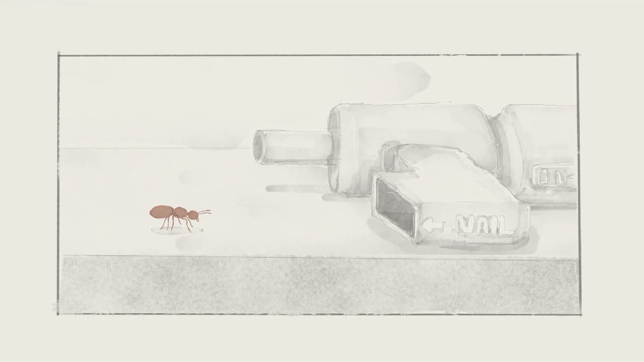 Antventure (Panda BEAR.2)