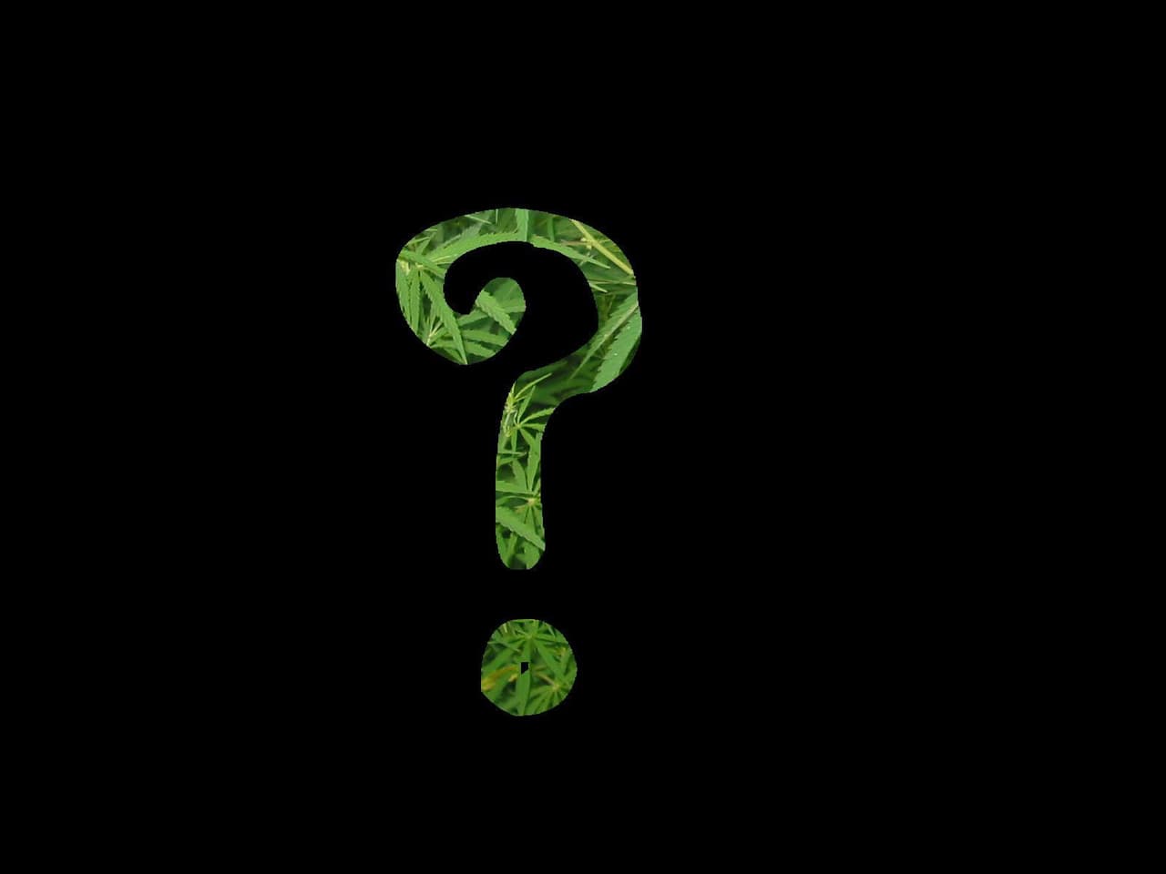 Should I Smoke