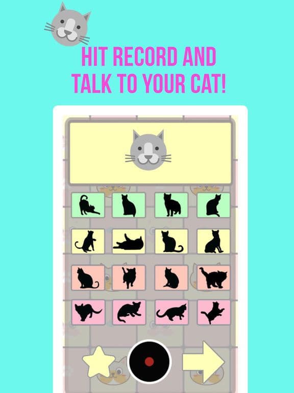 Crazy Cat Translator & Sounds screenshot 5