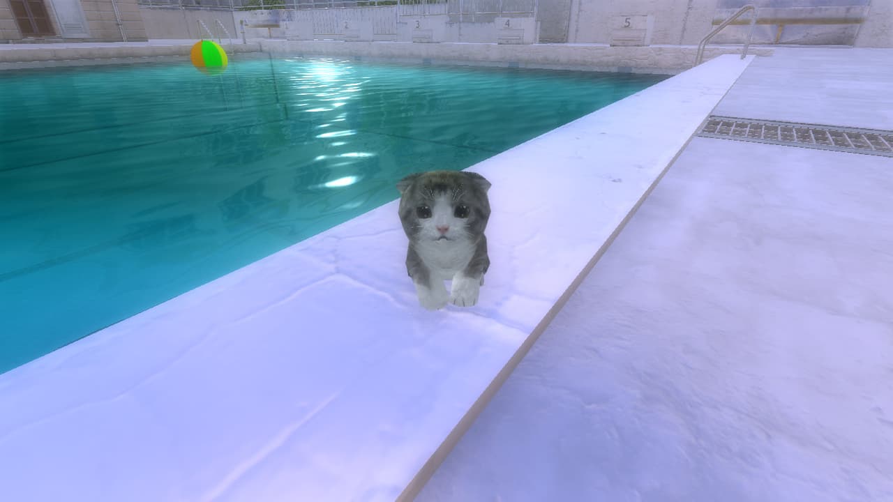 Kitten Super Adventure