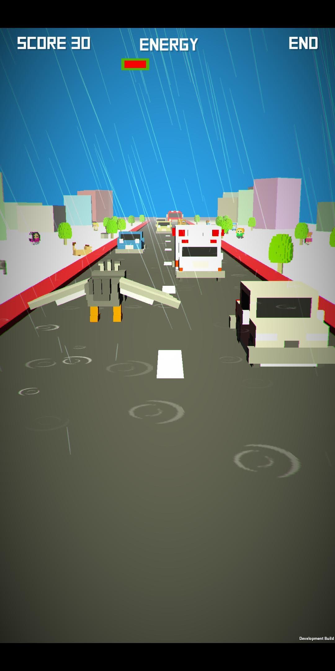 Birdrun