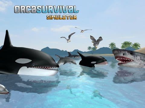 Orca Survival Simulator