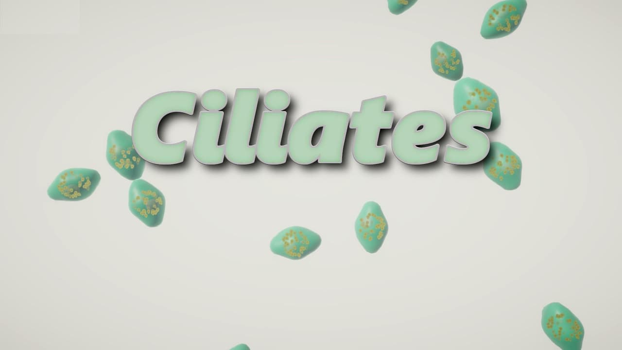 Ciliates