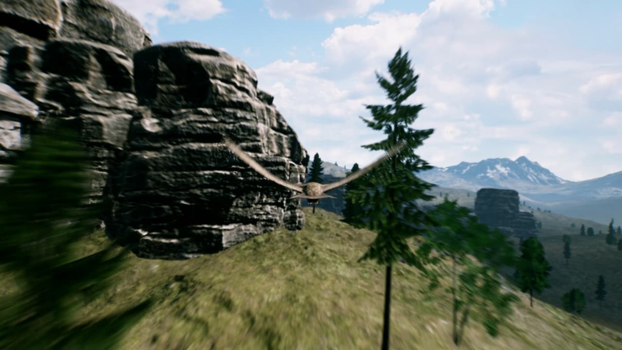 FREEDOM screenshot 3
