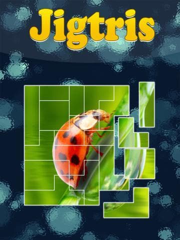 Jigtris Puzzle screenshot 2