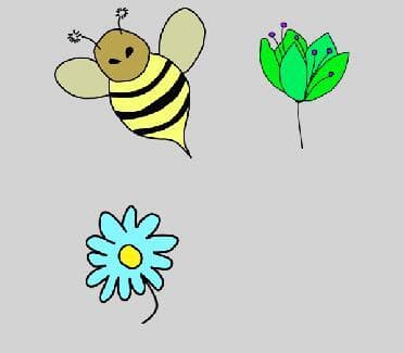 Pollination