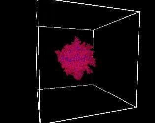 3D Diffusion Limited Aggregation #Exp 14 screenshot 3