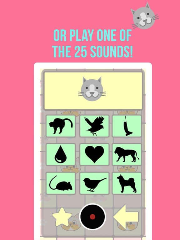 Crazy Cat Translator & Sounds screenshot 6