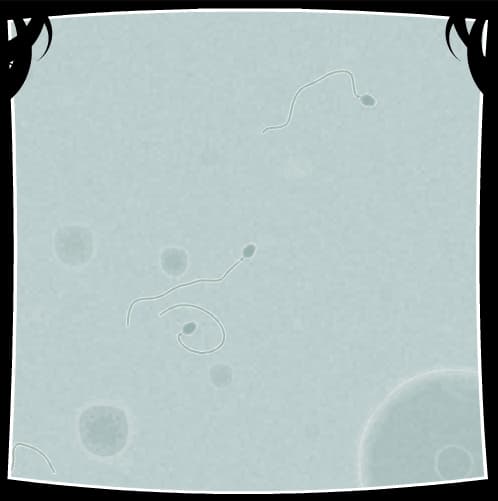 Coil screenshot 6