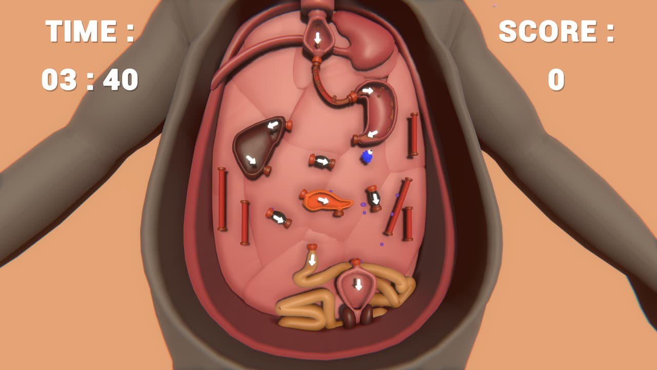 Almost Accurate Body Simulation (AABS) screenshot 3