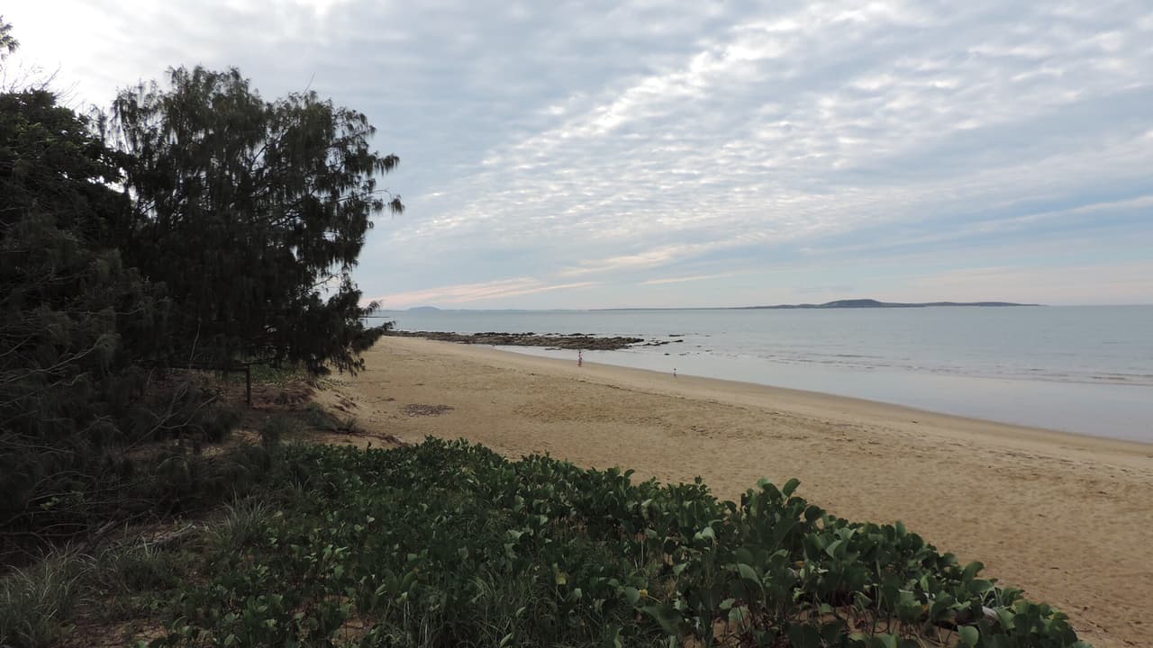 Oceanside (araseya)