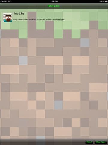 Mine Libs - Ad Libs for Minecraft screenshot 2