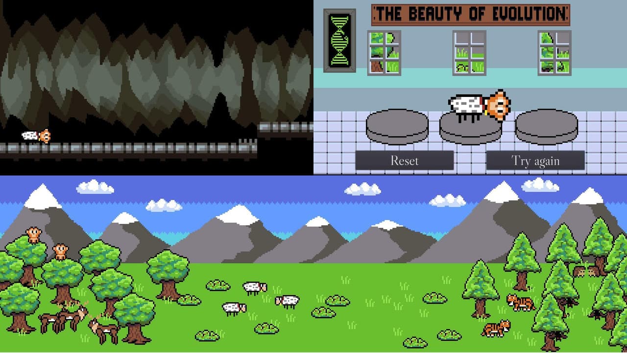 The Beauty of Evolution