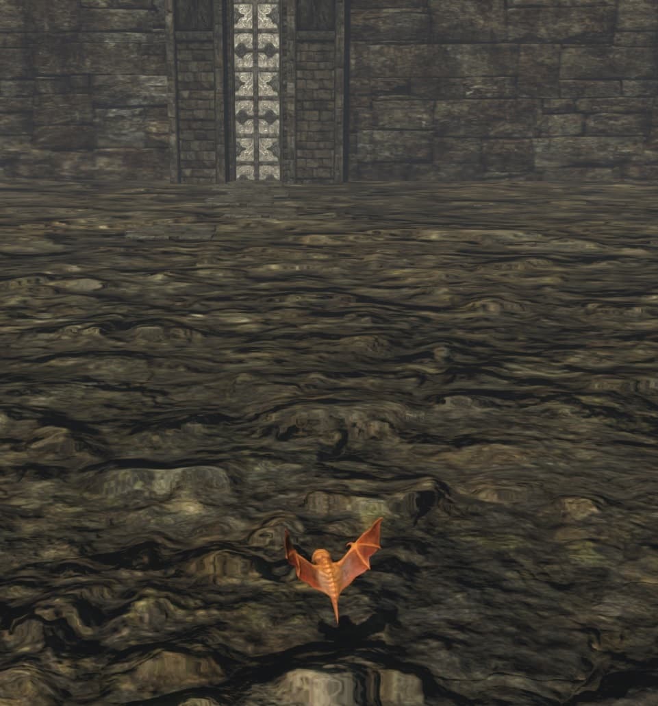Obscura Animas