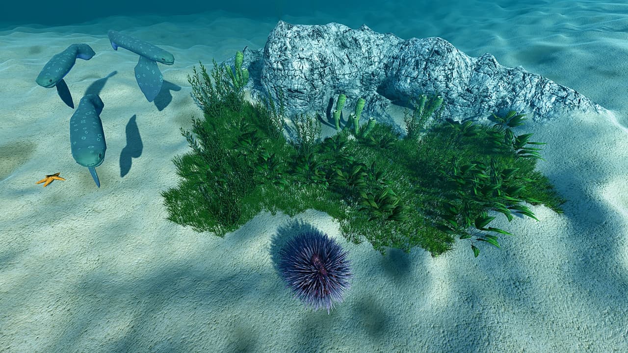 Ecosystem screenshot 5