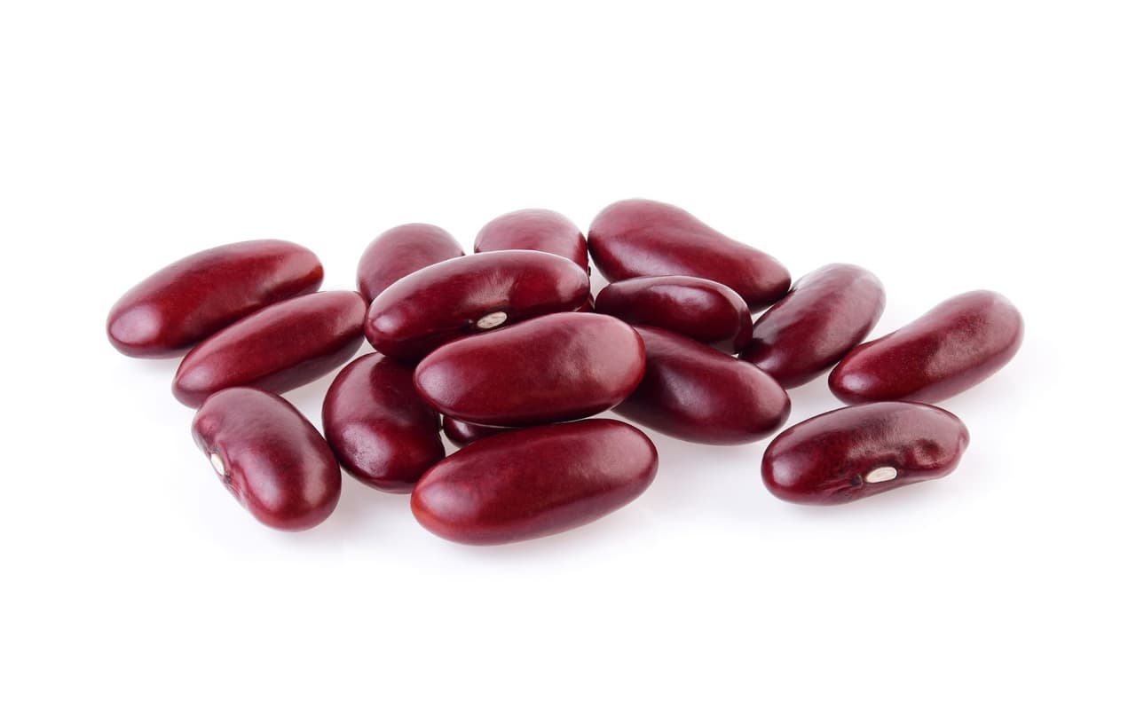 bean sim