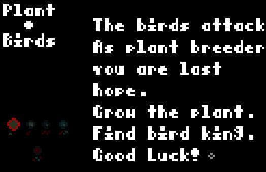 Plant + Birds