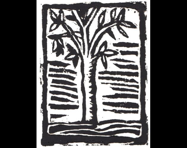 Eyes of Tree