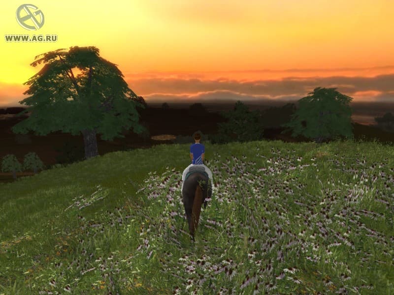 Lets Ride! Riding Star screenshot 3