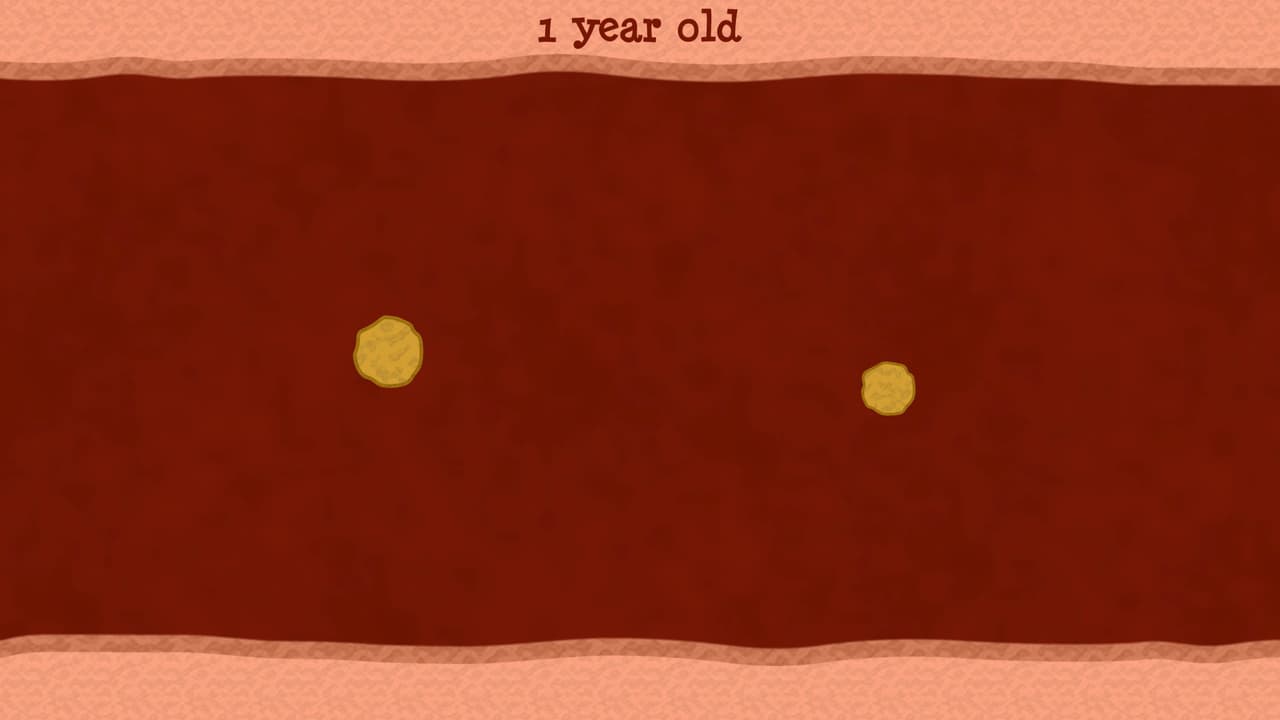 Cholesterol screenshot 2