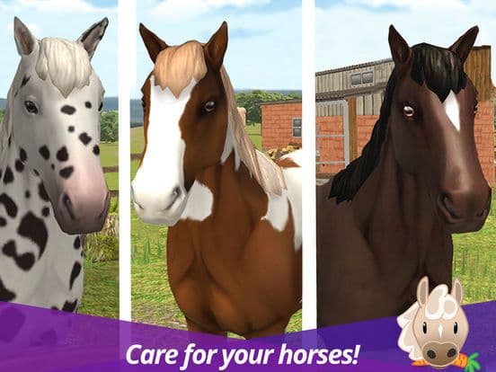 Show Jumping Premium screenshot 3