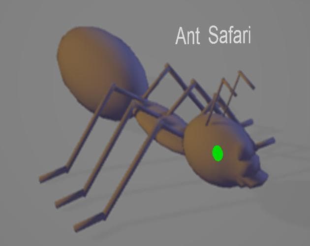 Ant safari