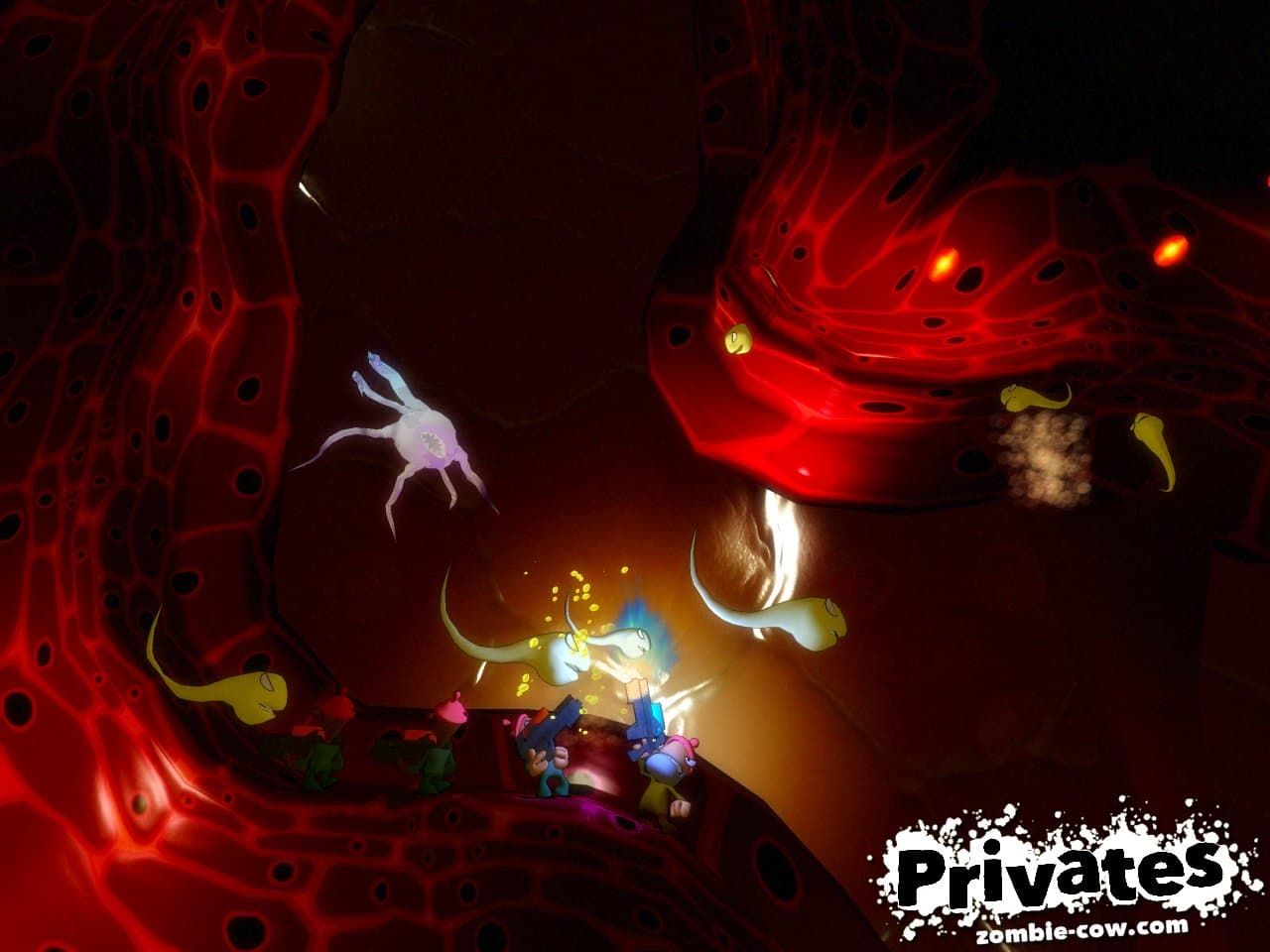 Privates screenshot 4