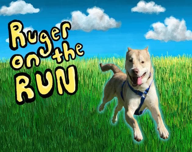 Ruger on the Run
