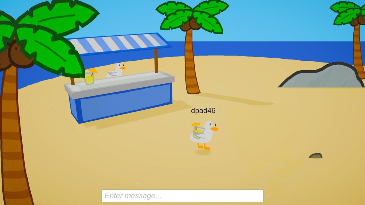 Ducks at the Beach